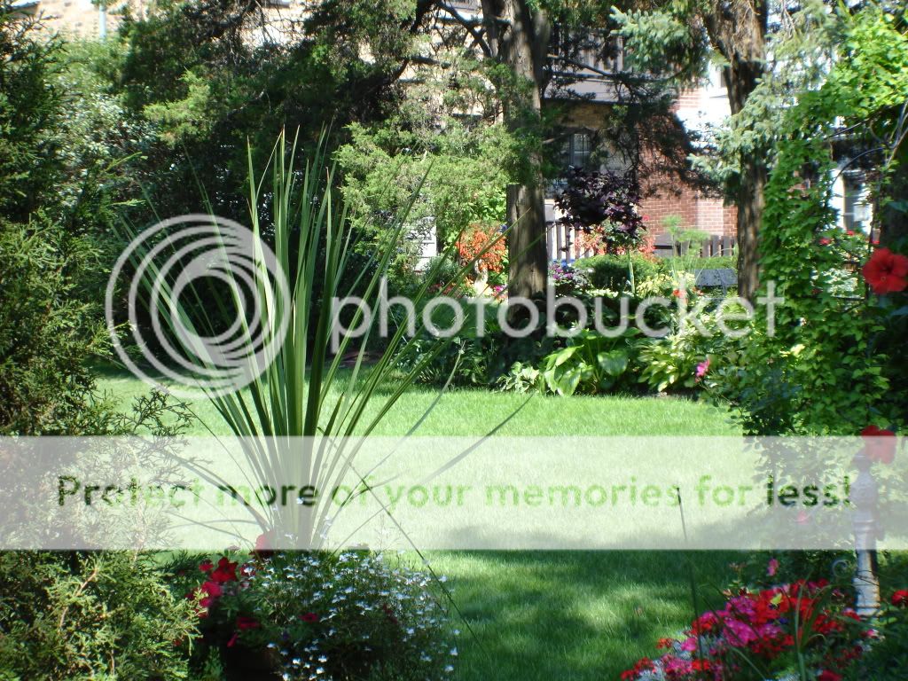 Backyard Landscape Design Ideas And Advice Interior Design Decoration